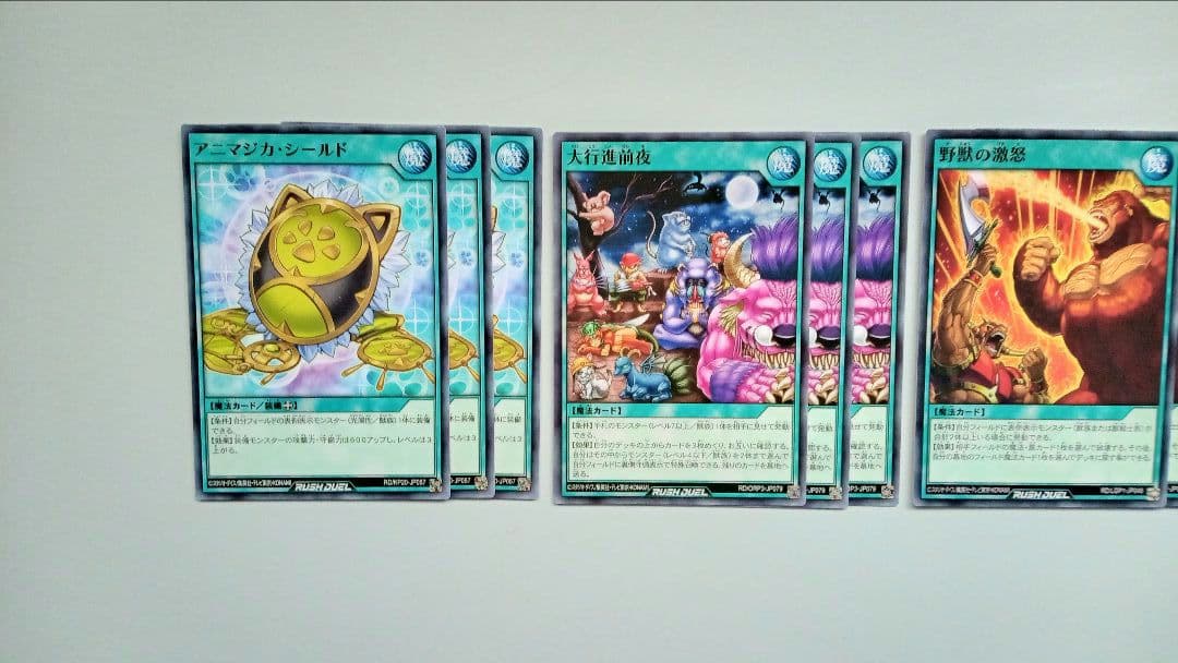 遊戯王 スーパーウォーライオン アニマジカ デッキパーツ 67枚