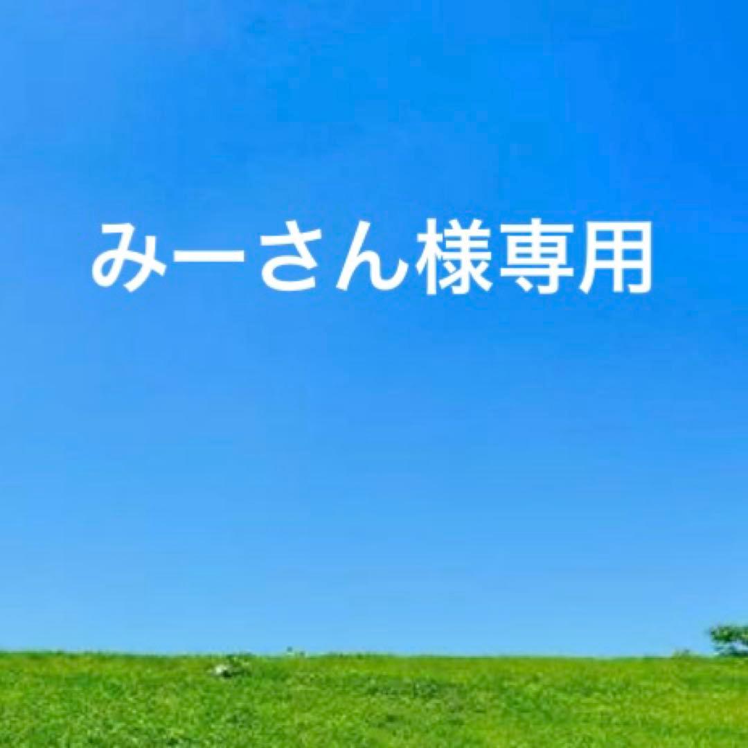 未使用BURBERRバーバリー　レザー名刺入れ　カードケース　濃茶