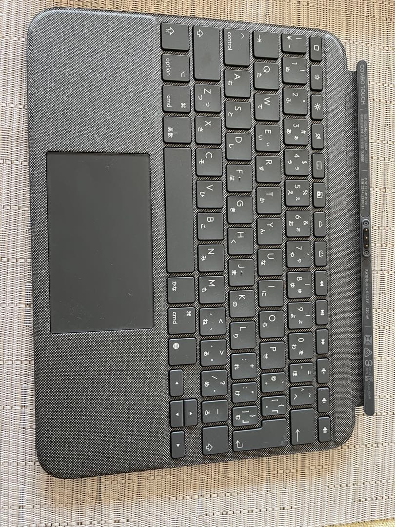 ゴンゴンザレス iPad 10世代 Wi-Fiモデル　(ジャンク品)