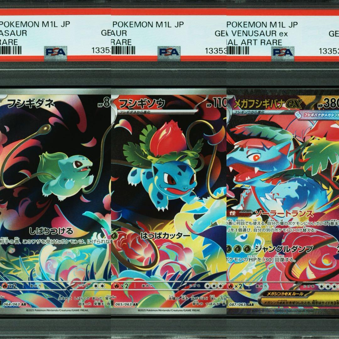 【PSA10】フシギダネ フシギソウ メガフシギバナex 3連番 AR SAR