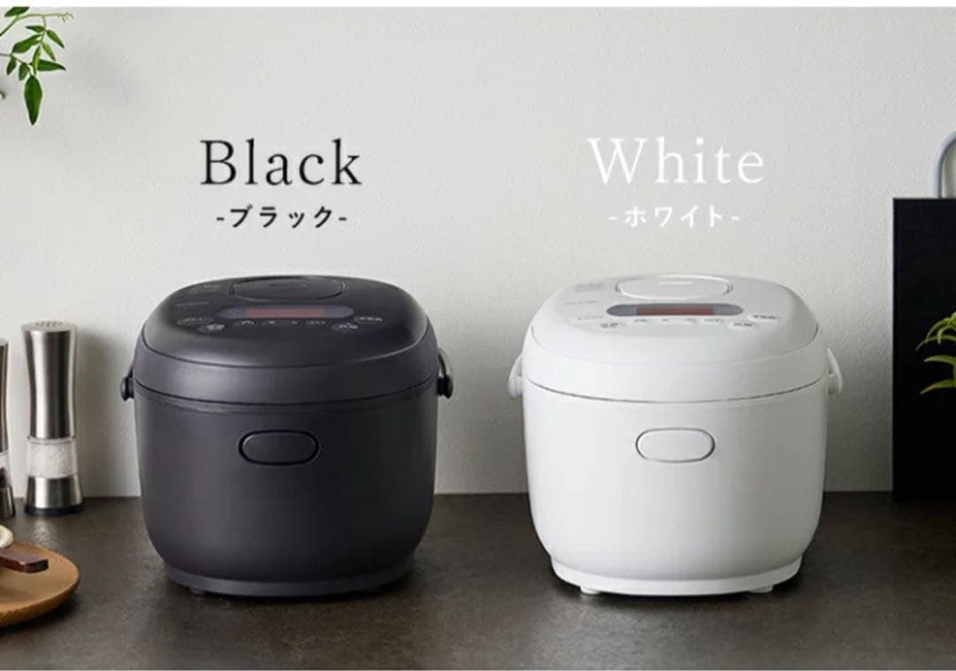 IRIS OHYAMA 5.5合炊き炊飯器