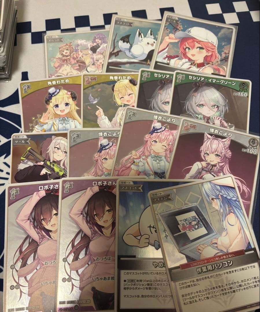 ホロカ　引退品