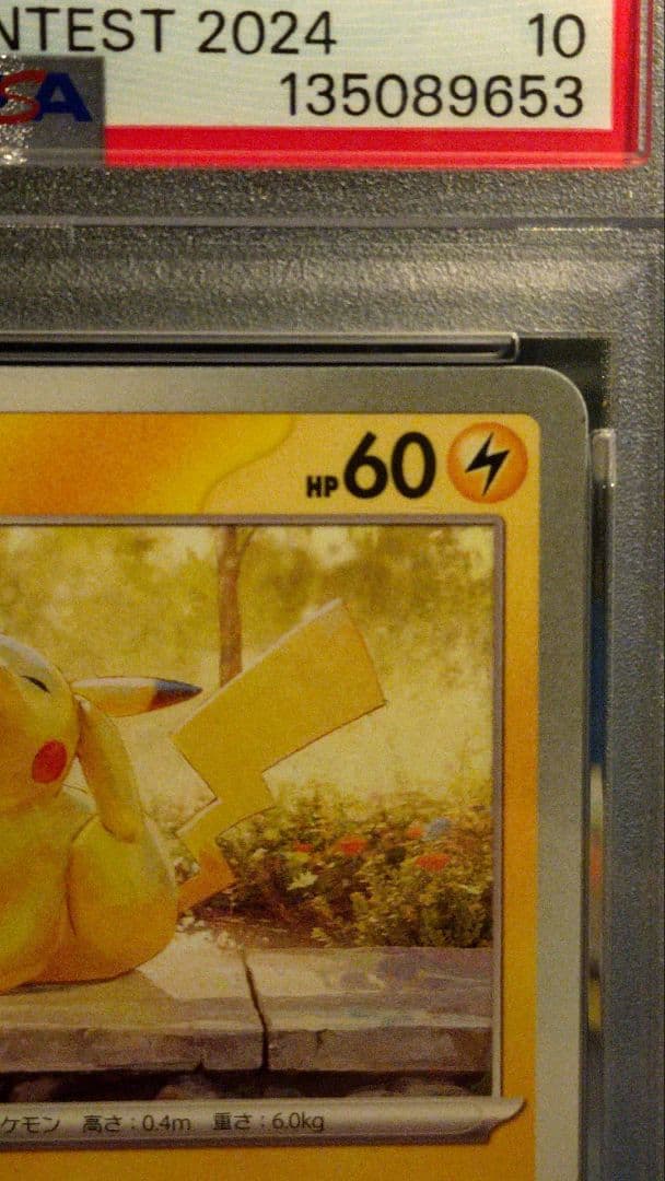 PSA10 ピカチュウ：イラストレーションコンテスト 2024 PROMO