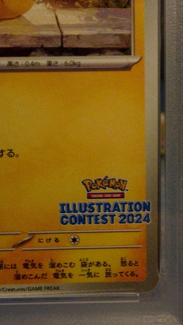 PSA10 ピカチュウ：イラストレーションコンテスト 2024 PROMO