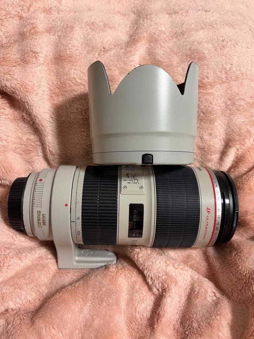 Canon ズームレンズ EF70-200mm F2.8L IS || USM