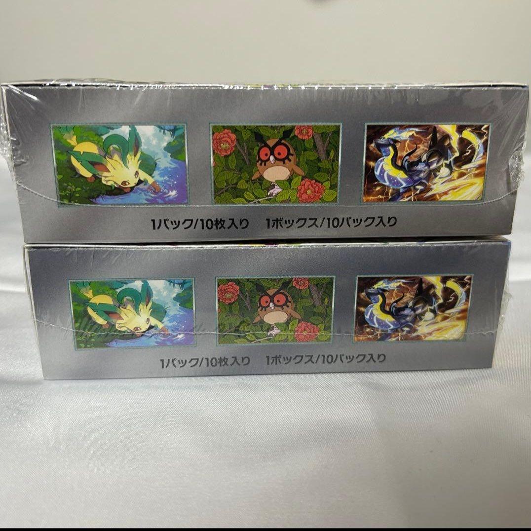 ポケモンカード　テラスタルフェスex　2BOX シュリンク付き