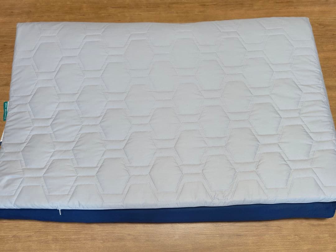 きさらぎリーフ スマートパッドタイプ