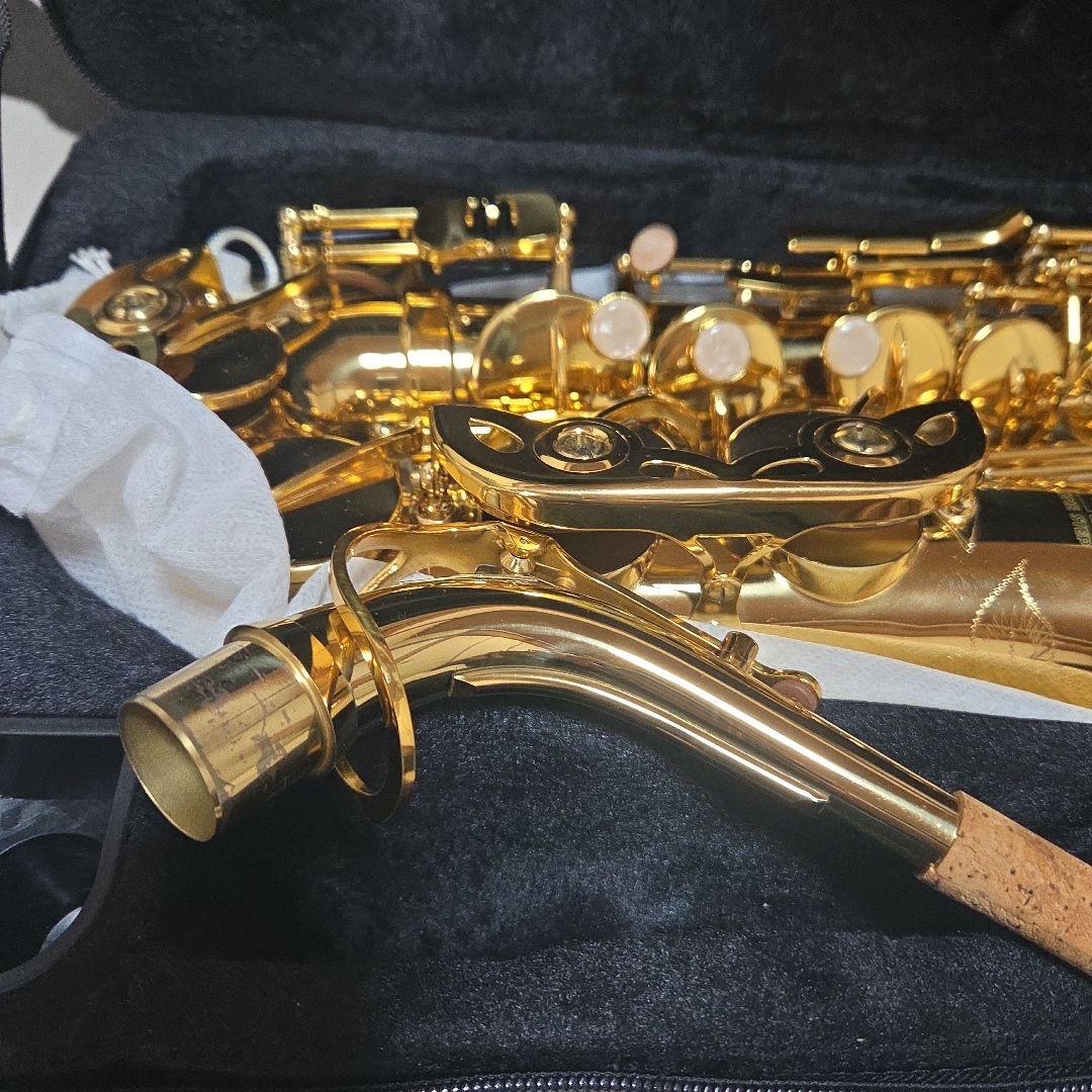 アルトサックス 初心者セット 入門用 E Saxophone 吹奏楽