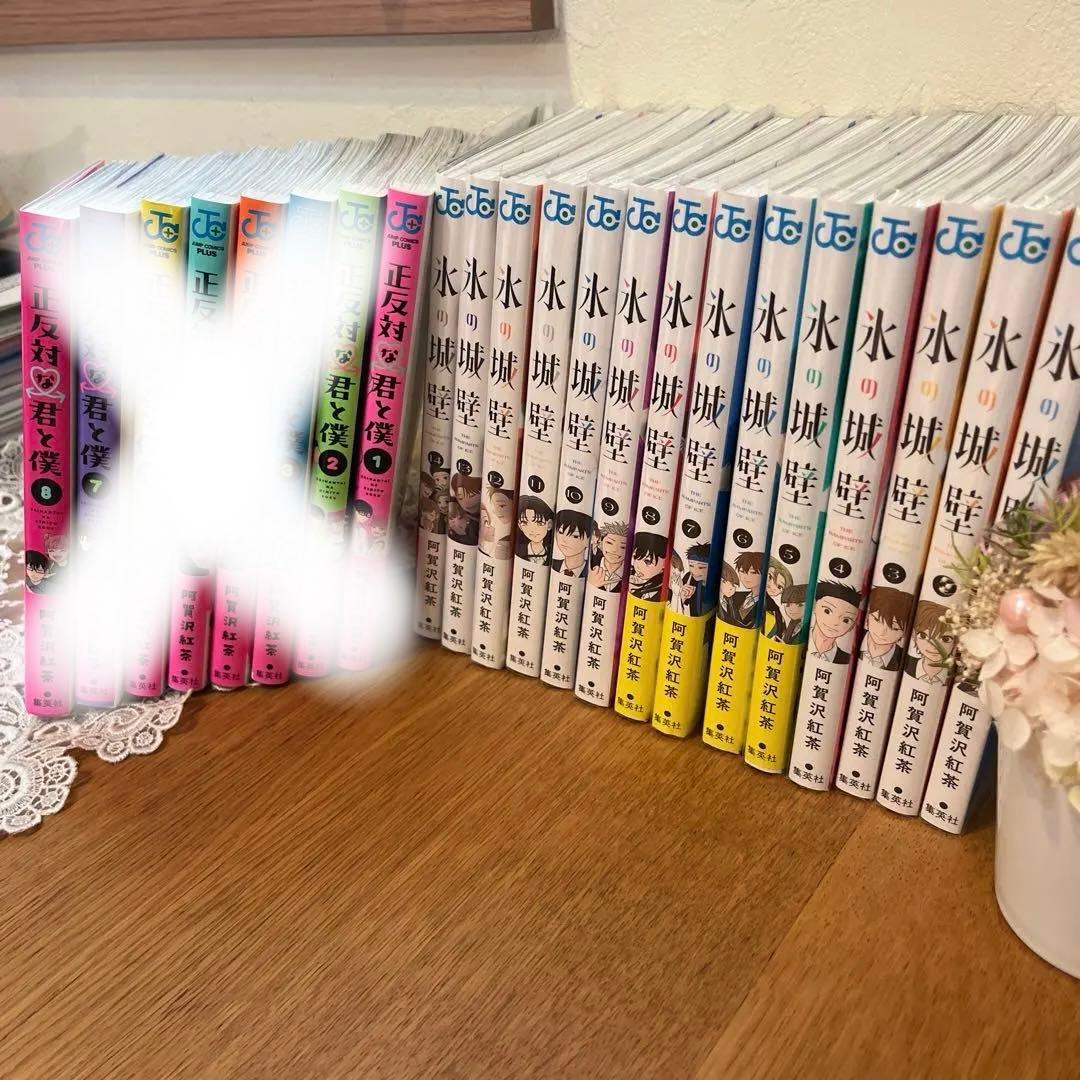 『壱』氷の城壁（1〜14巻）　阿賀沢紅茶