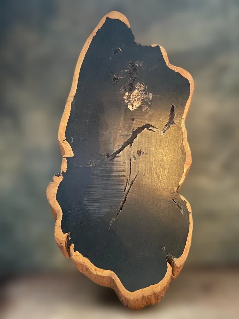 希少 大型 本黒檀 花瓶台 盆栽 花台 飾り台 一枚板 切り株 輪切 華道