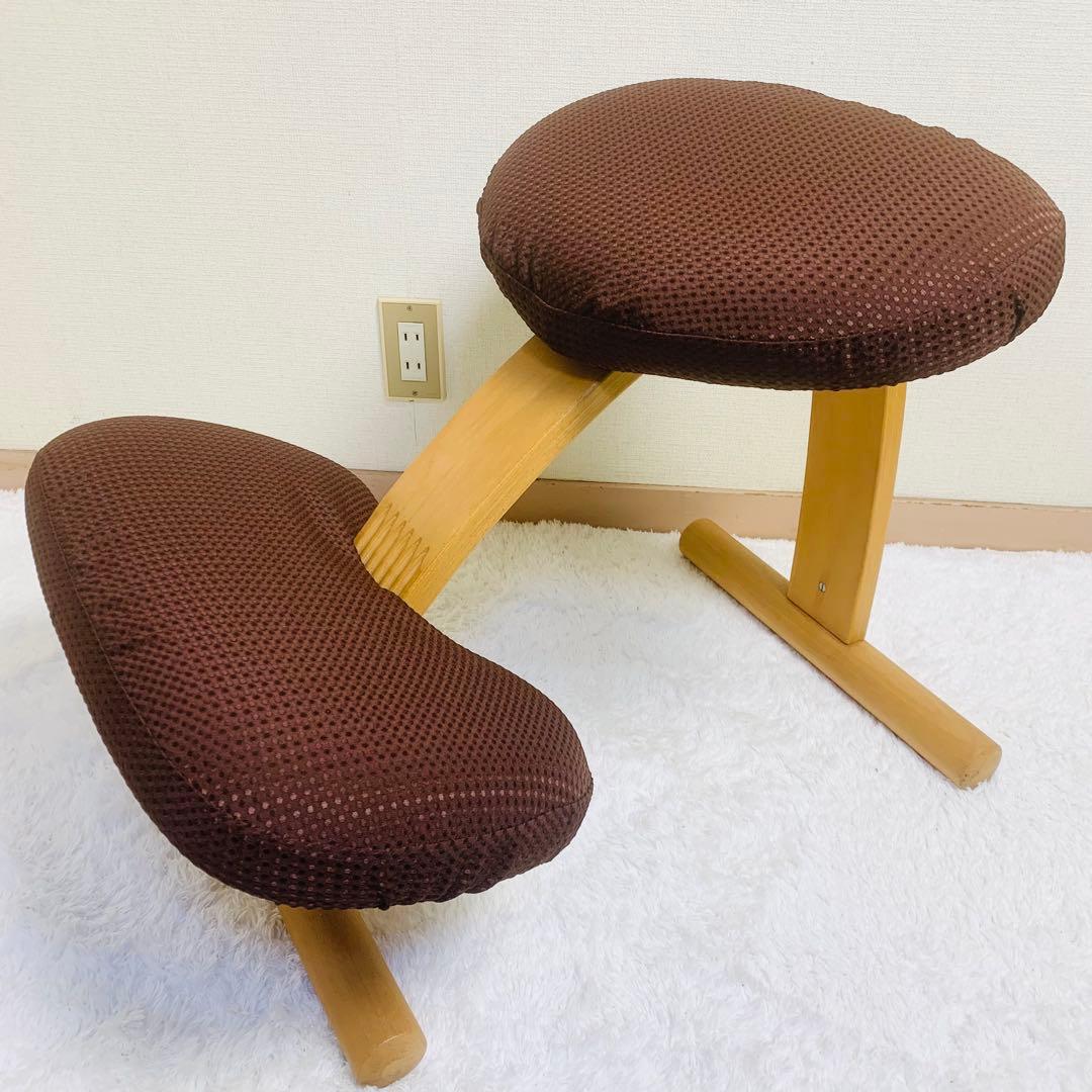 バランスチェア イージー バランスラボ(旧サカモトハウス) はっ水カバー付き