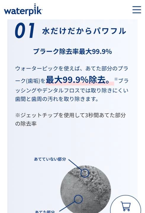 Waterpik 値下げ交渉可！！