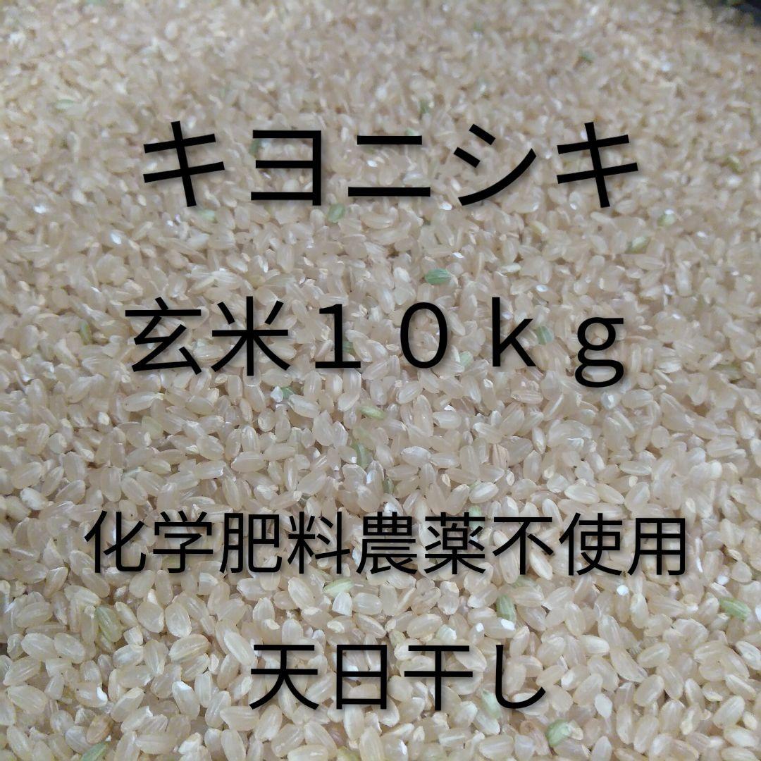 キヨニシキ　玄米１０ｋｇ　令和７年産　天日干し　化学肥料農薬不使用