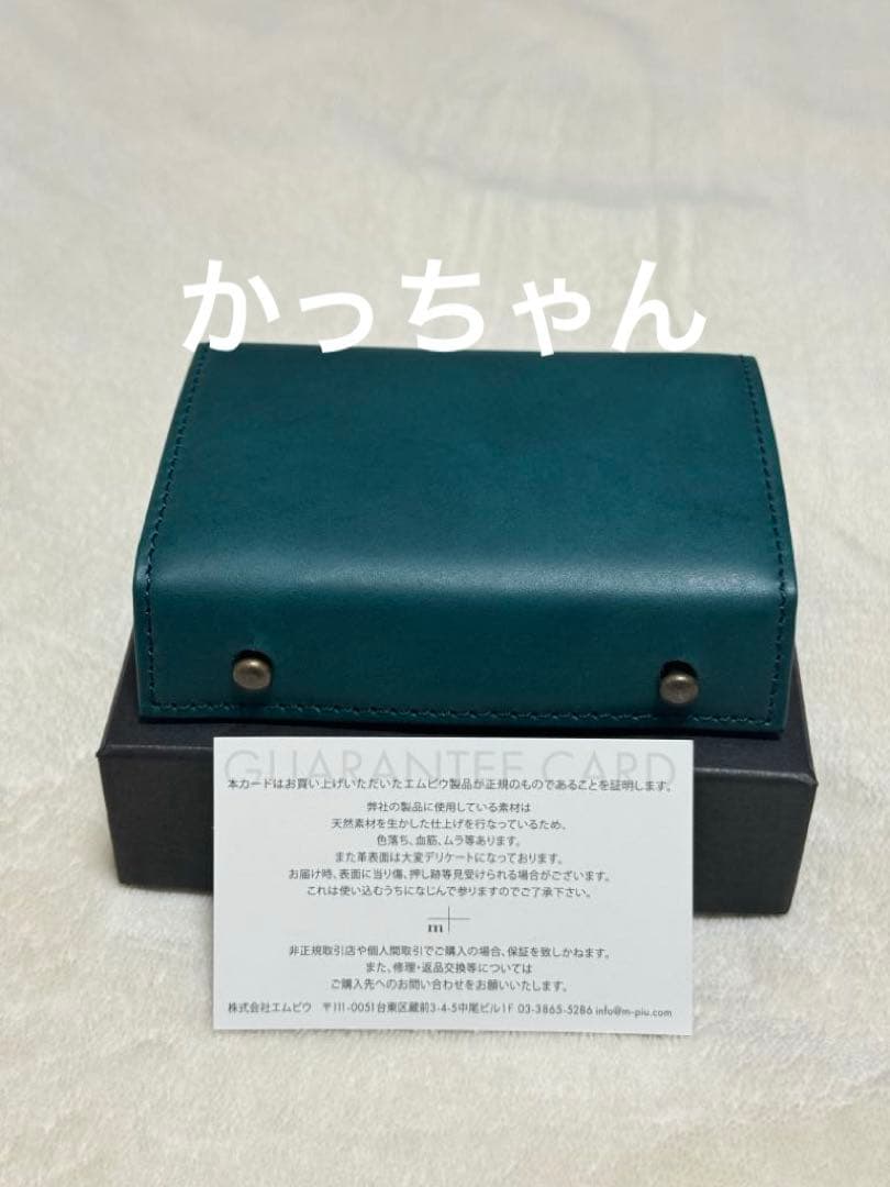 新品　m+ エムピウ　ミッレフォッリエⅡ P25 限定色　オルテンシア