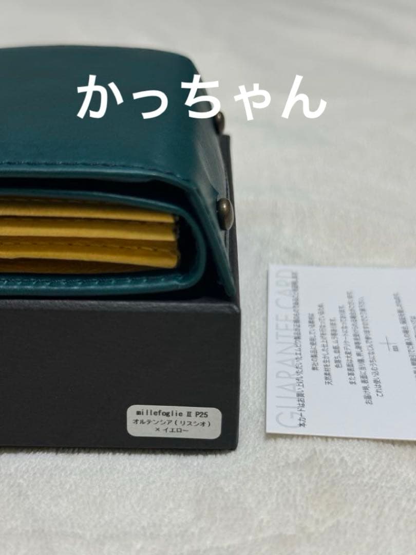 新品　m+ エムピウ　ミッレフォッリエⅡ P25 限定色　オルテンシア