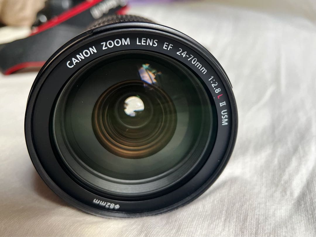 【極美品】Canon EF 24-70mm f/2.8L II USM おまけ付