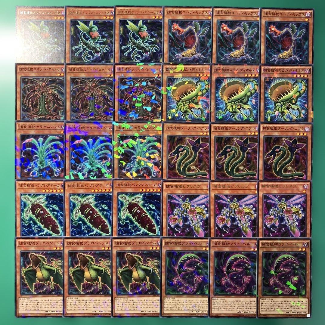 遊戯王 プレデタープランツセット⑤