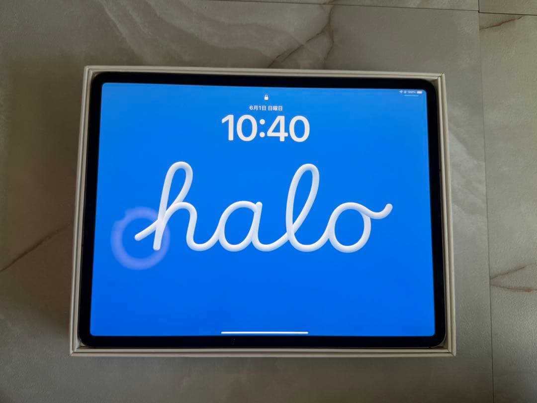 Apple iPad Pro 12.9インチ スペースグレー　第4世代