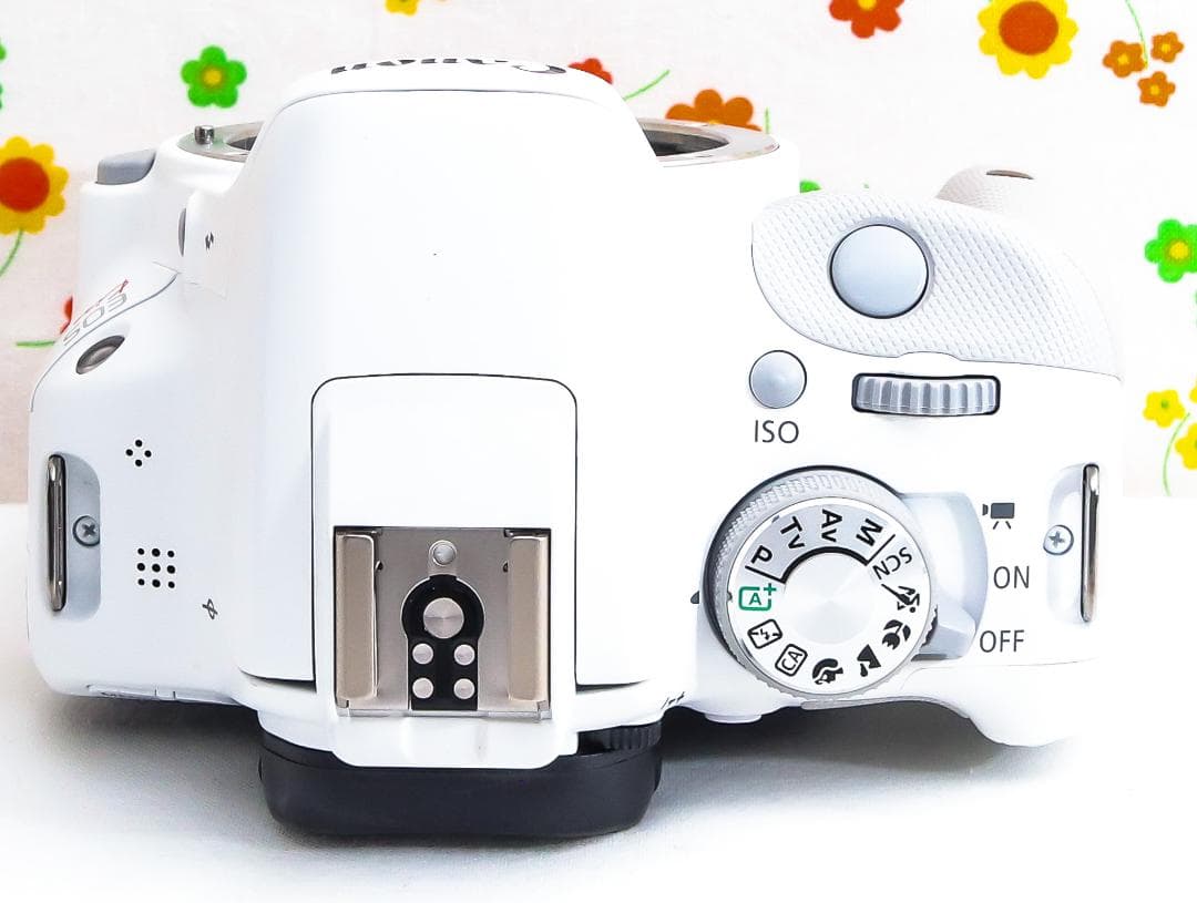 にゃんmama☆Canon kiss X7☆スマホに転送！☆ダブルレンズ！