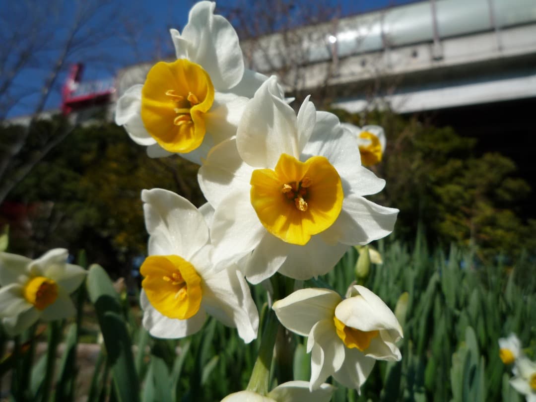 追加あり⭕️外観美【動作確認済】Panasonic LUMIX DMC-FX37