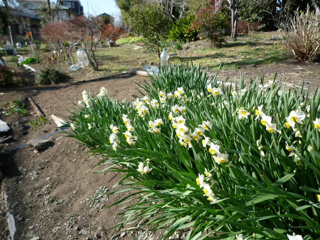 追加あり⭕️外観美【動作確認済】Panasonic LUMIX DMC-FX37