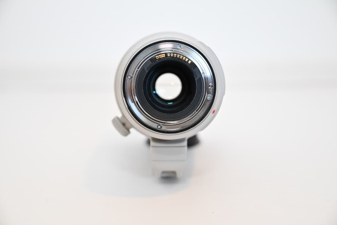 【キヤノン】EF100-400mm F4.5-5.6L IS II USM