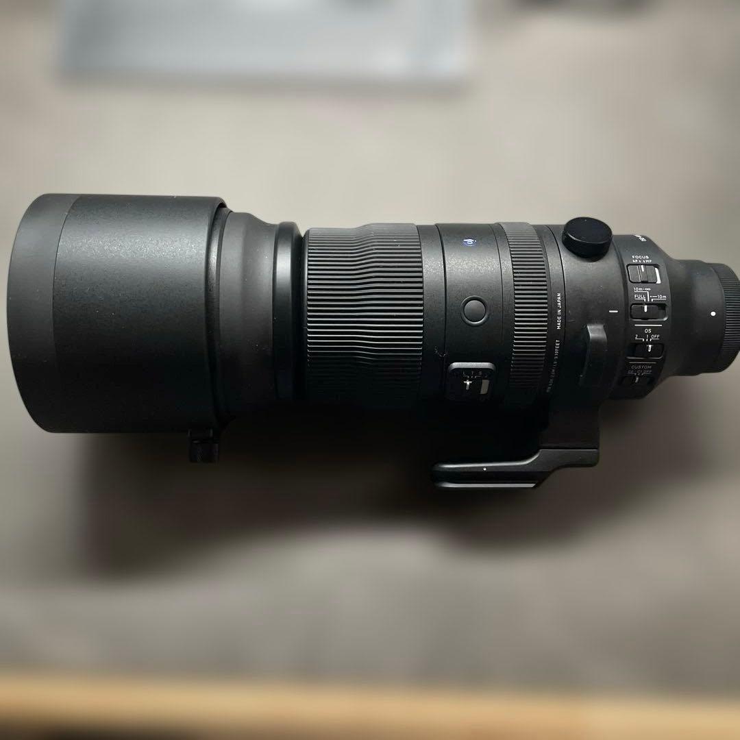 Sigma 150-600 F5-6.3DG DN OS スポーツ