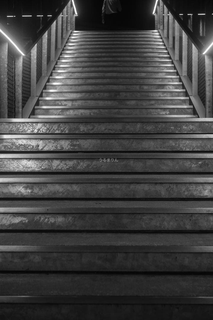 希少！全周ニッケル Elmar 50mm F3.5 オールドレンズ シリアルなし