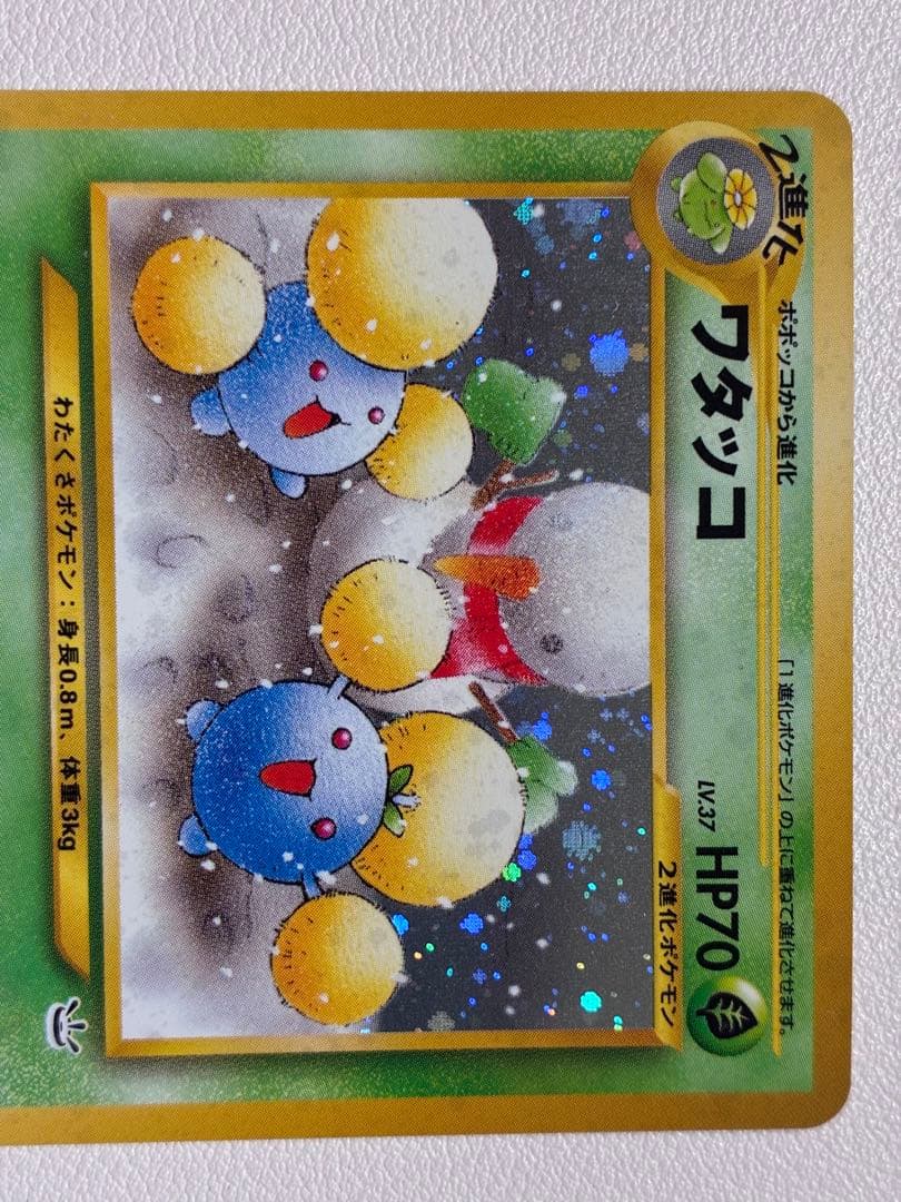 現物 ワタッコ　ポケモンカード　旧裏面　未使用　美品　neo 1221 ヤ