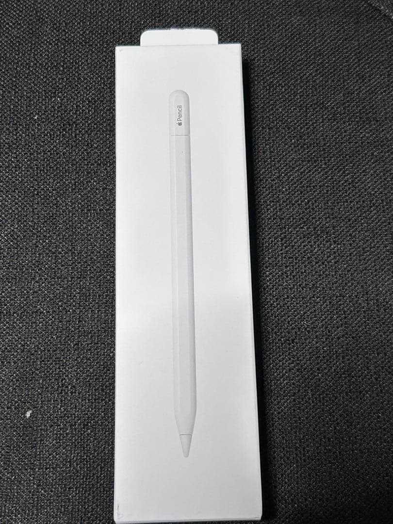 Apple Pencil USB-C ほぼ未使用
