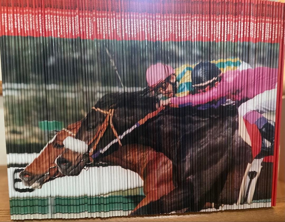 週刊100名馬 100冊＋2冊