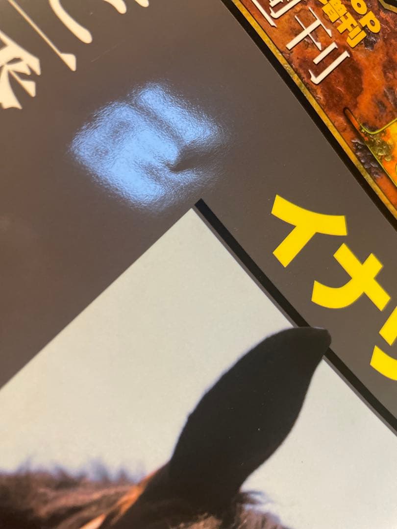 週刊100名馬 100冊＋2冊