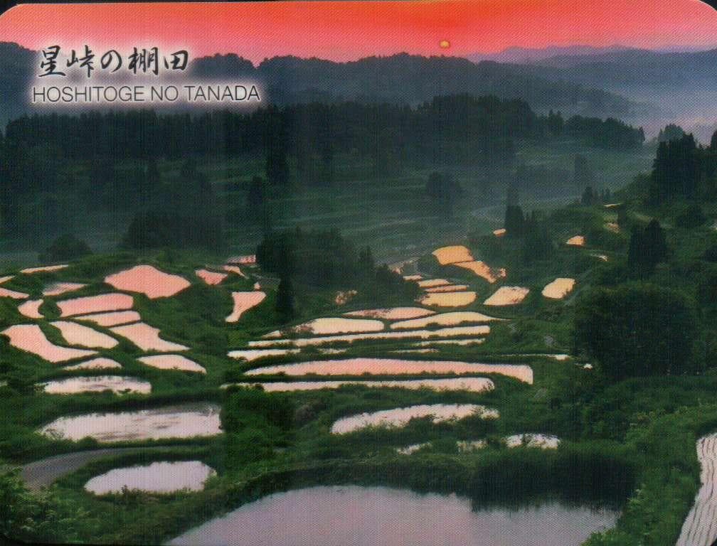 星峠の棚田 棚田カード　１０枚