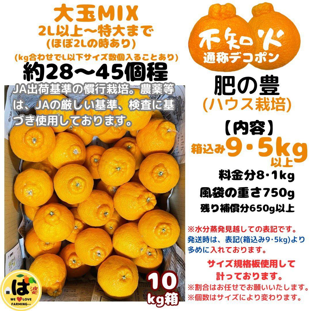 ※確認用　大玉MIX箱込み9.5kg以上【ハウス栽培　不知火　デコポン　肥の豊】