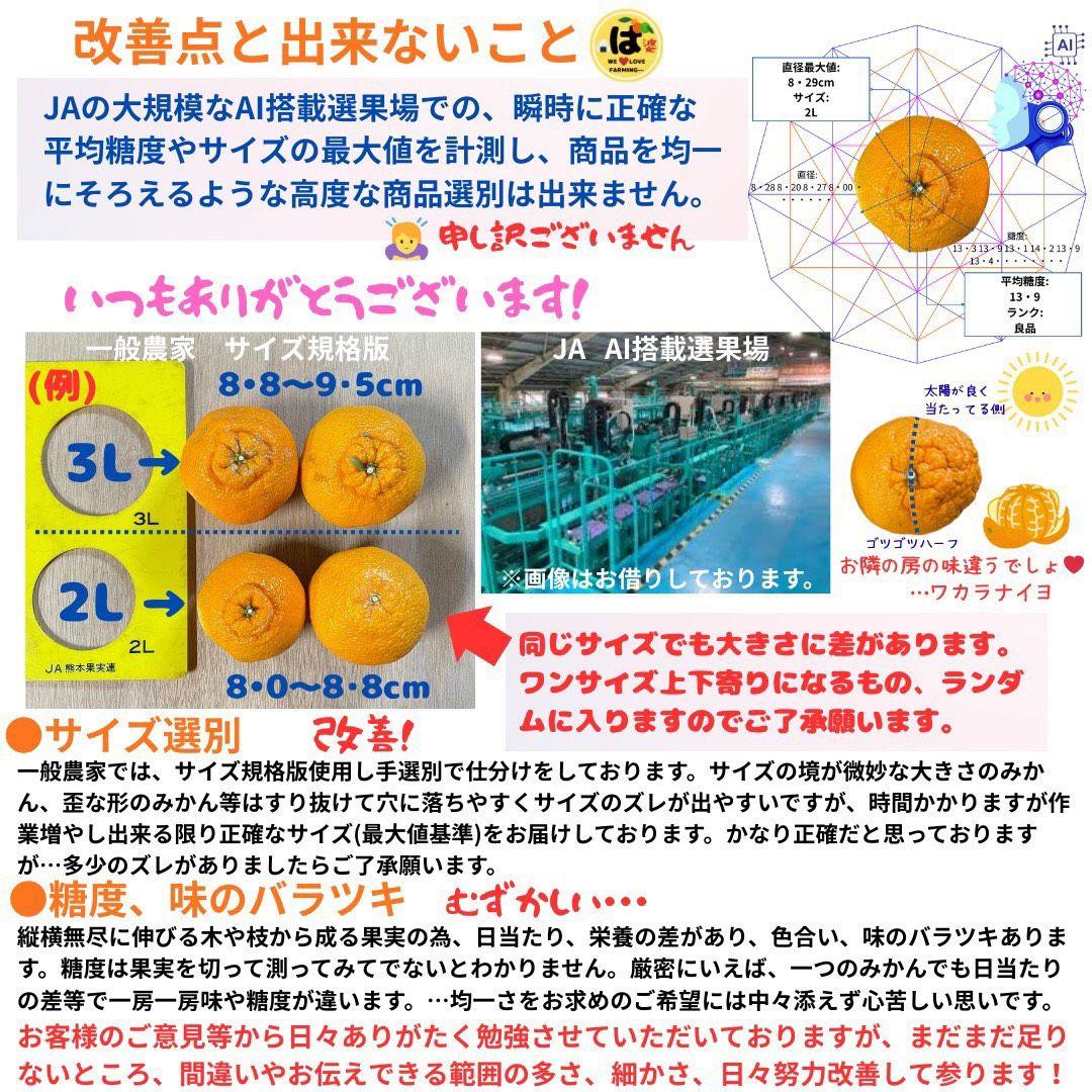 ※確認用　大玉MIX箱込み9.5kg以上【ハウス栽培　不知火　デコポン　肥の豊】