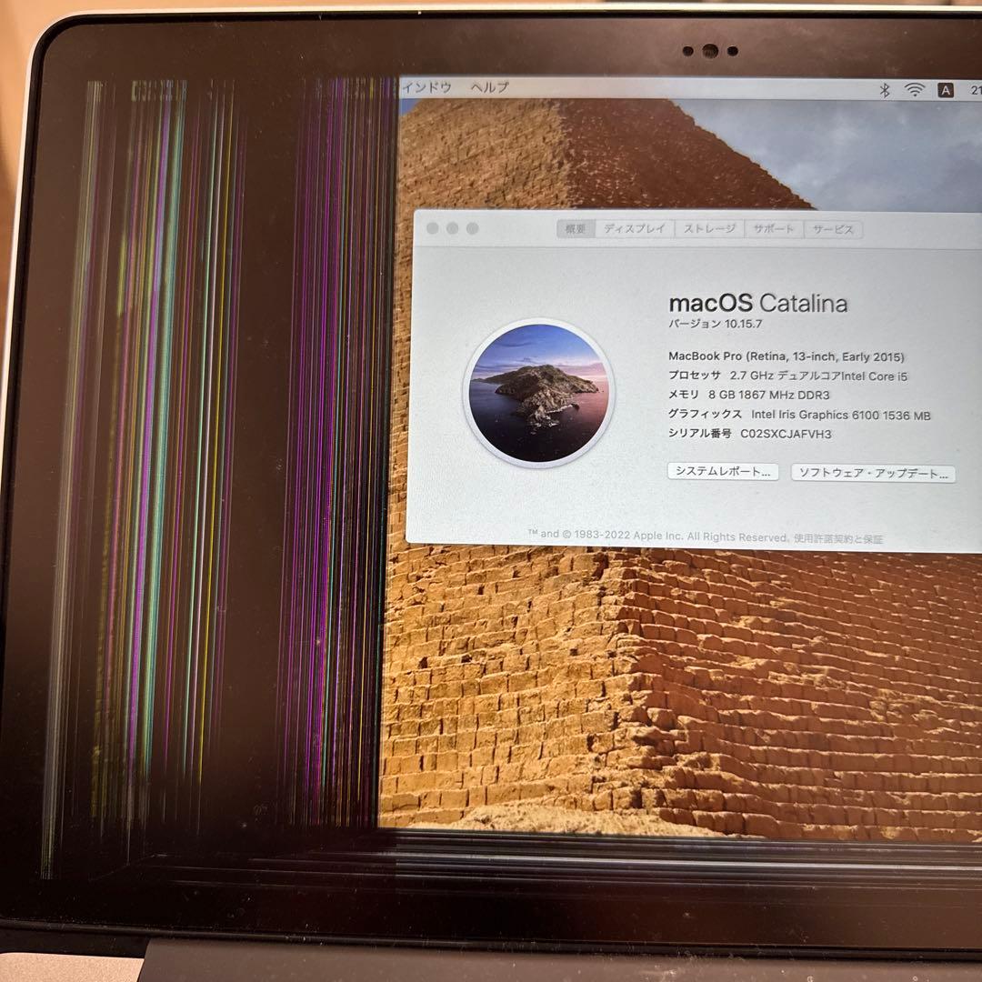 【ジャンク】MacBook Pro 2015 ディスプレイ不具合(付属品完備)