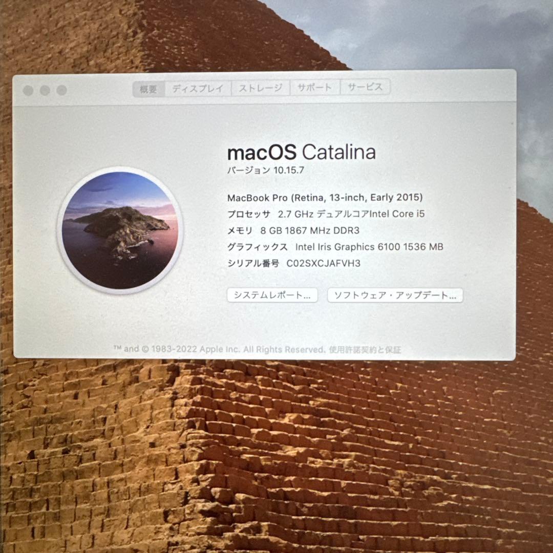 【ジャンク】MacBook Pro 2015 ディスプレイ不具合(付属品完備)