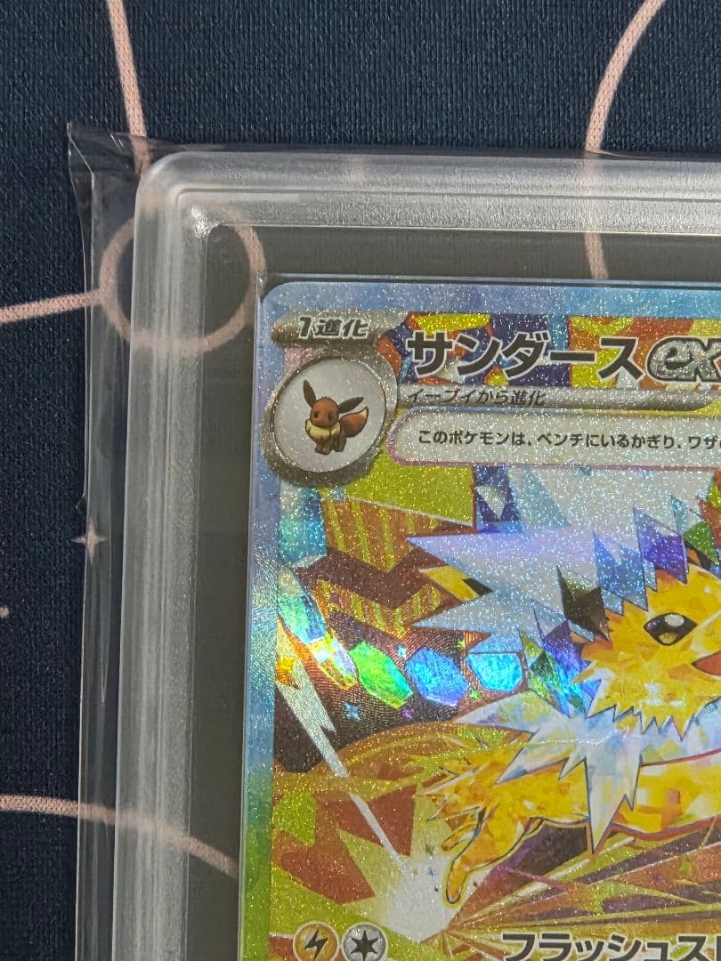 【ARS10+】サンダースex SAR テラスタルフェスex