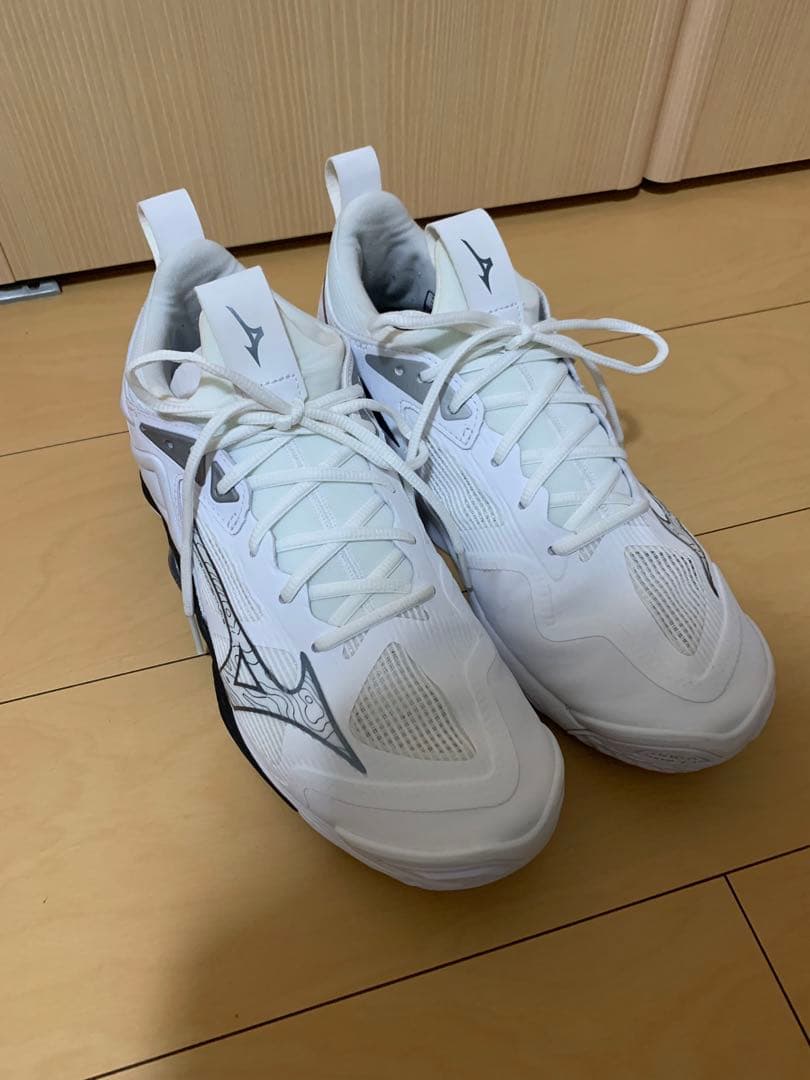 Mizuno ウェーブモーメンタム3