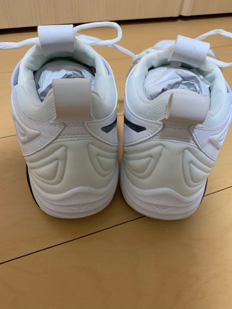 Mizuno ウェーブモーメンタム3