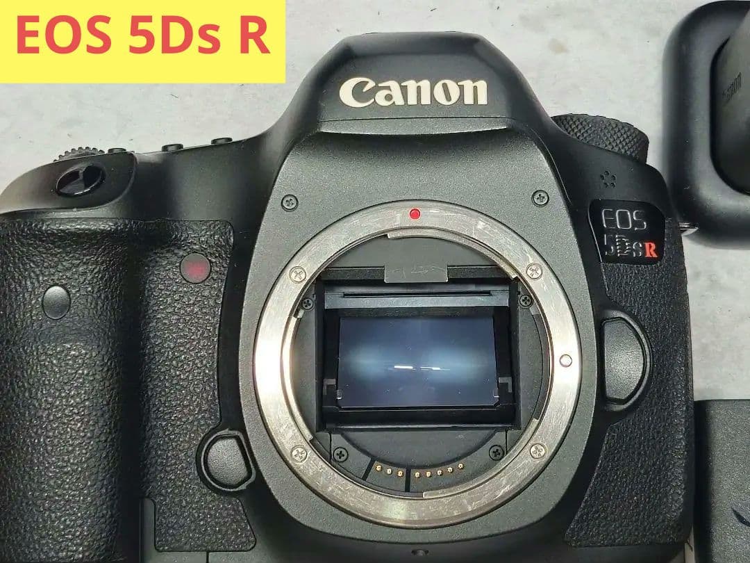 Canon EOS 5Ds R ＋ 300mmズームレンズ付属