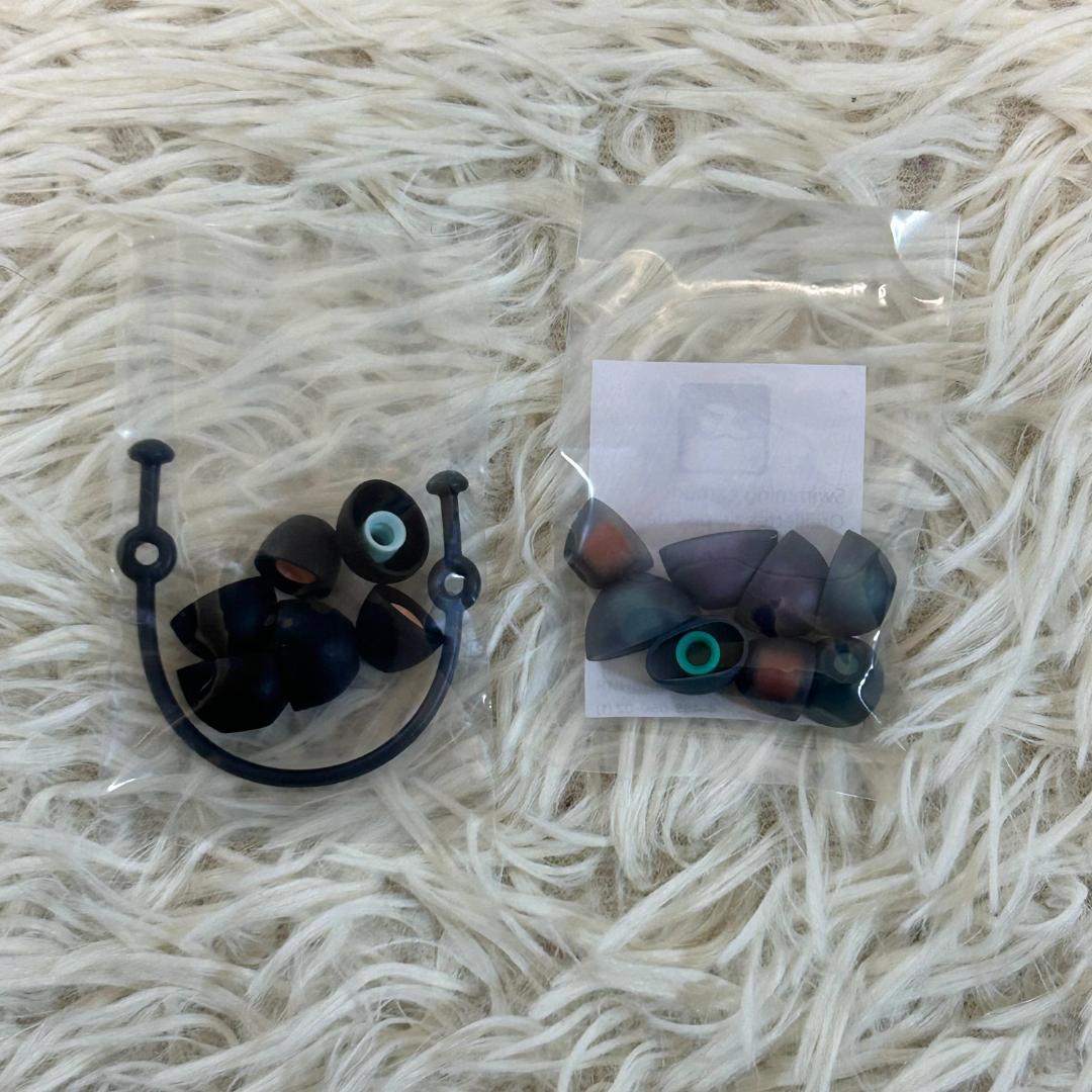 レア　SONY　ソニー　イヤホン　ワイヤレス　ブラック　NW-WS623