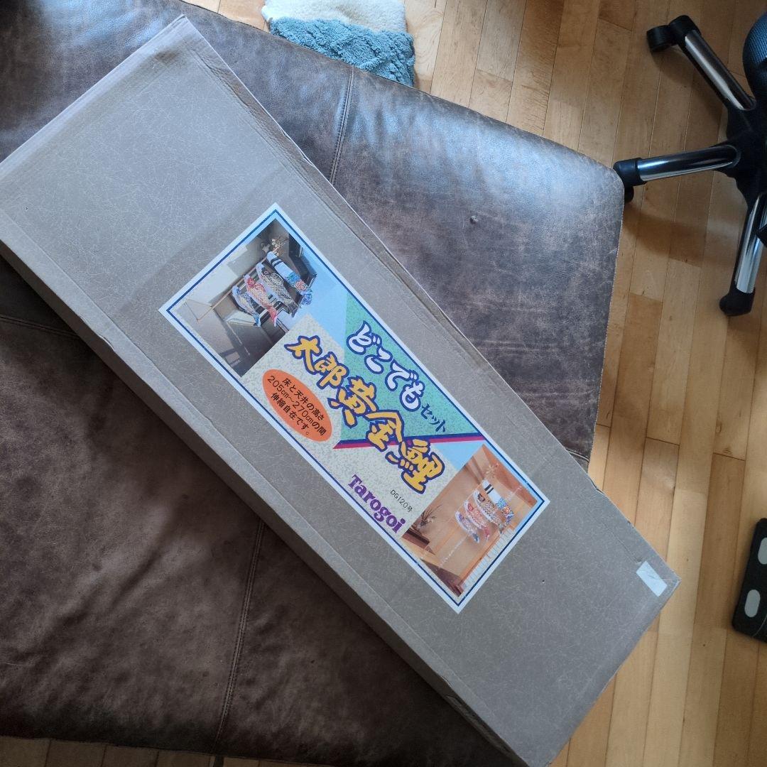 榊原　太郎黄金鯉　室内向け 鯉のぼり 高さ調整可能