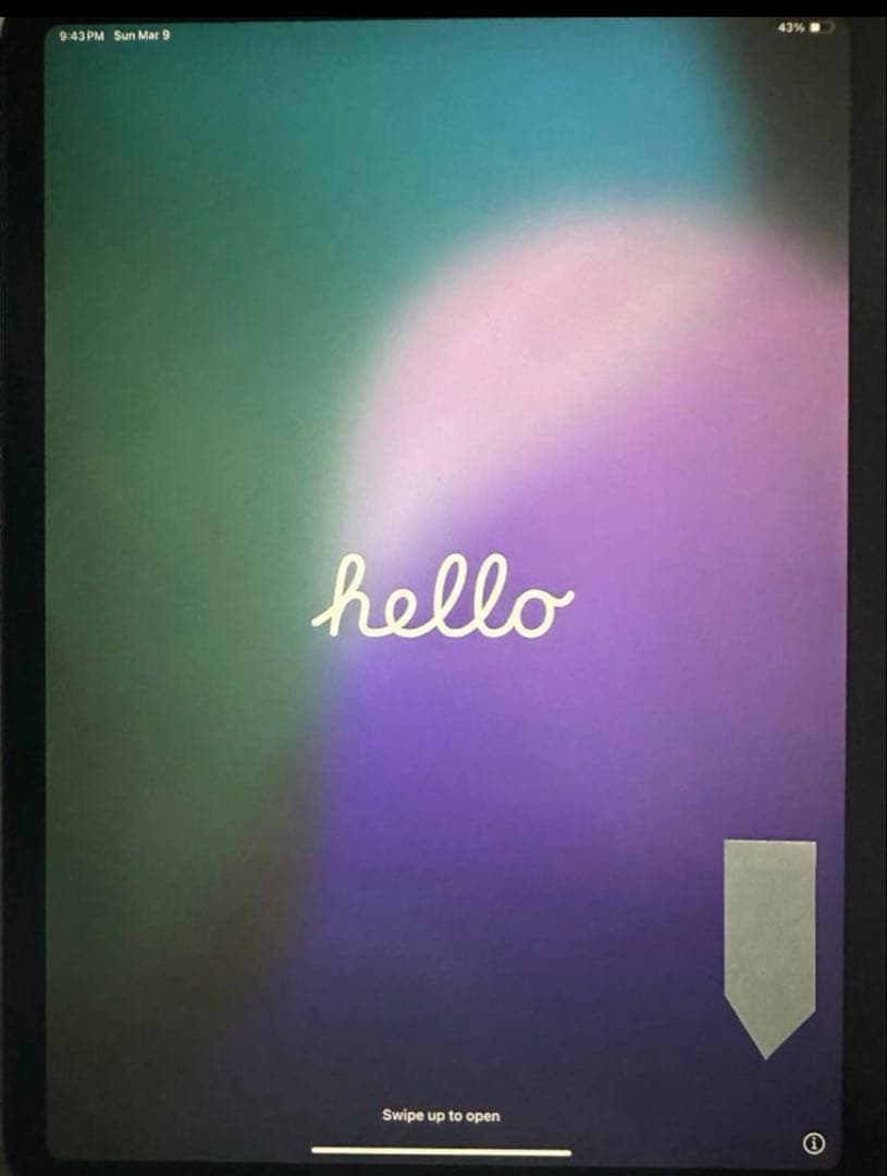 iPad Pro 11インチ 本体第一世代　apple pencil 付き