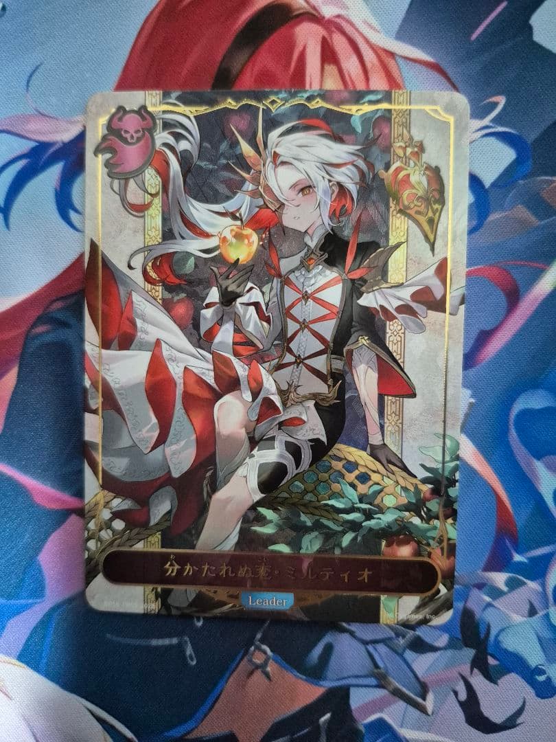 ミルティオ　リーダー