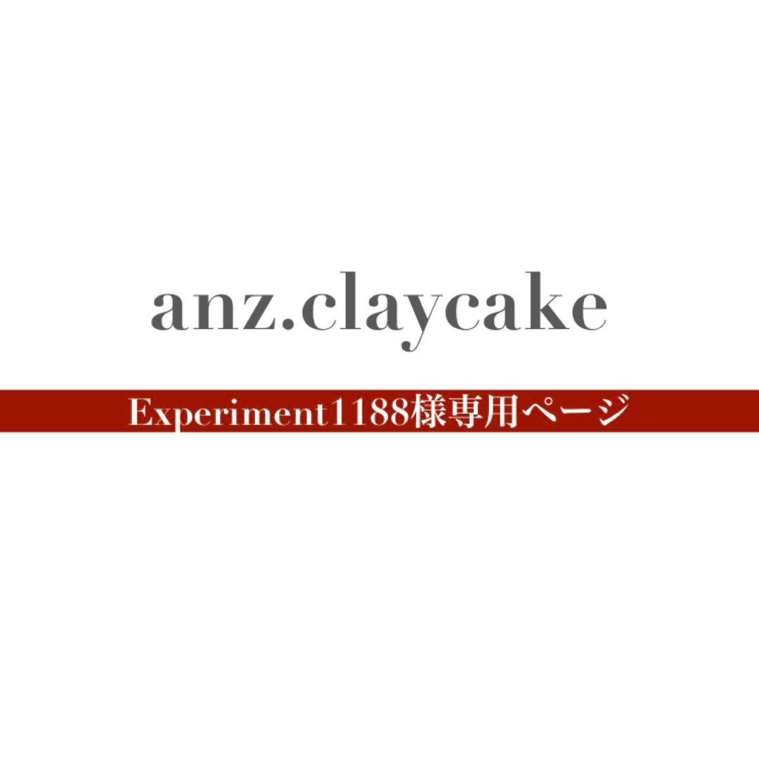 Experiment1188ページ