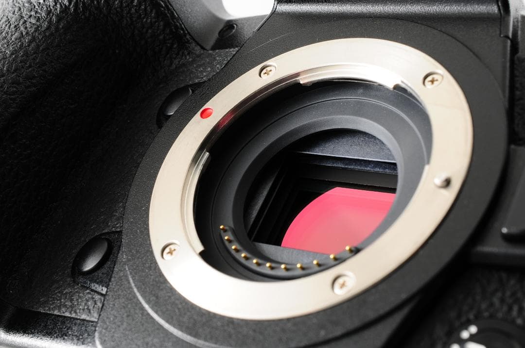 【美品】パナソニック Panasonic LUMIX DC-G9 Pro ボディ