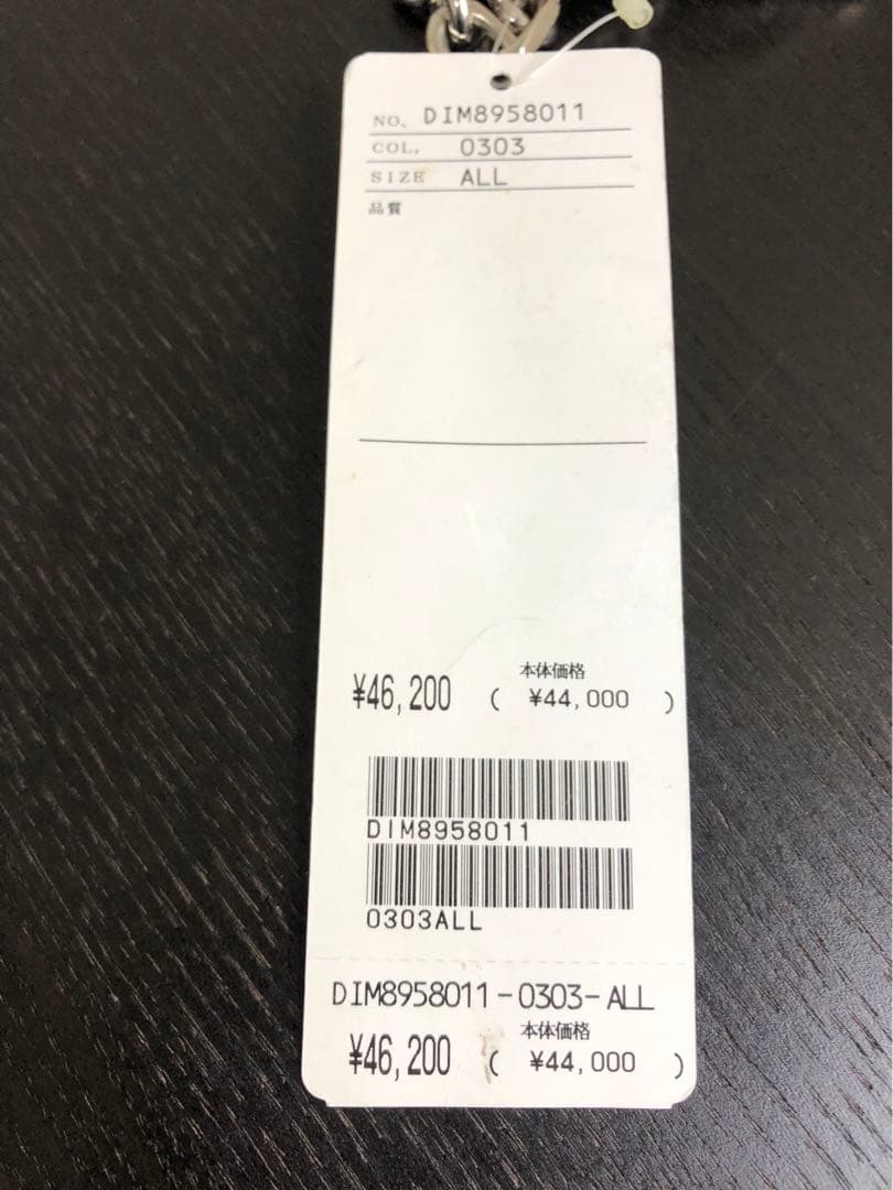 新品未使用DOLCE&GABBANA (ドルチェ&ガッバーナ) カラビナチェーン