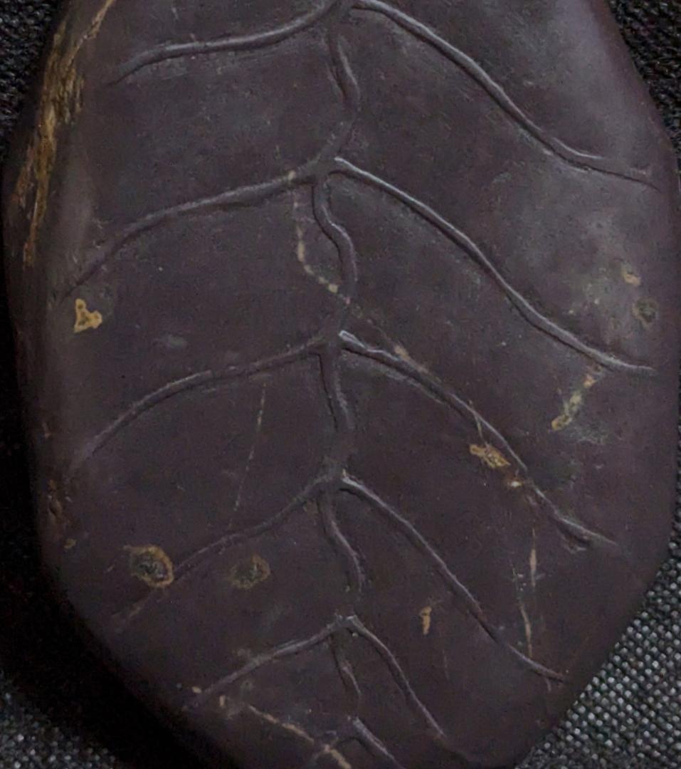 【端渓・葉脈文天成硯】◆金線・冰紋の紫黒美石◆唐木共箱◆約5.2吋◆老坑