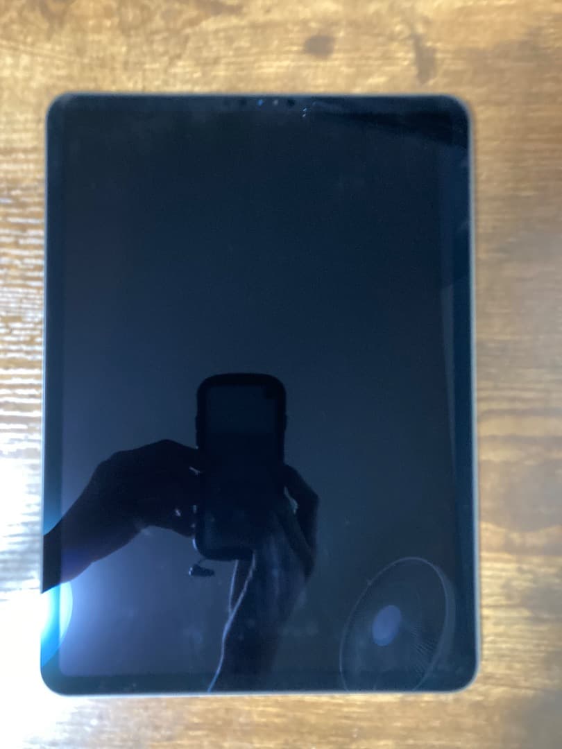 【極美品】iPad pro11 1世代　256GB Wi-Fi